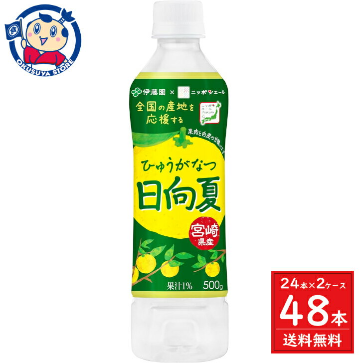 伊藤園 ニッポンエール宮崎県産日向夏 500g×24本入×2ケース 発売日：2024年5月13日