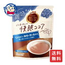 片岡物産 バンホーテンの快眠ココア 100g×12袋入×3ケース