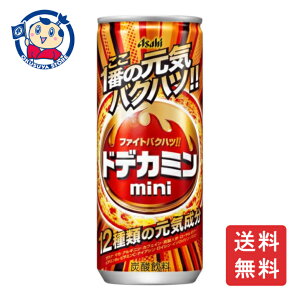 アサヒ ドデカミンmini 缶250ml×30本入×1ケース リニューアル発売日:2025年3月11日