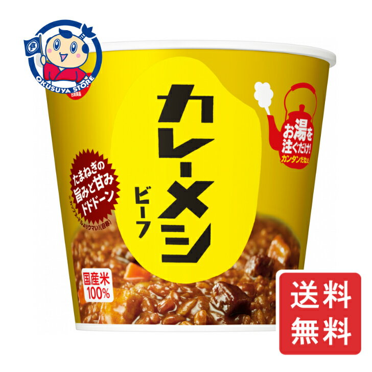 日清 カレーメシビーフ 107g×6個入×3ケース