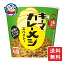 日清 キーマカレーメシ スパイシー 105g×6個入×2ケース(4)