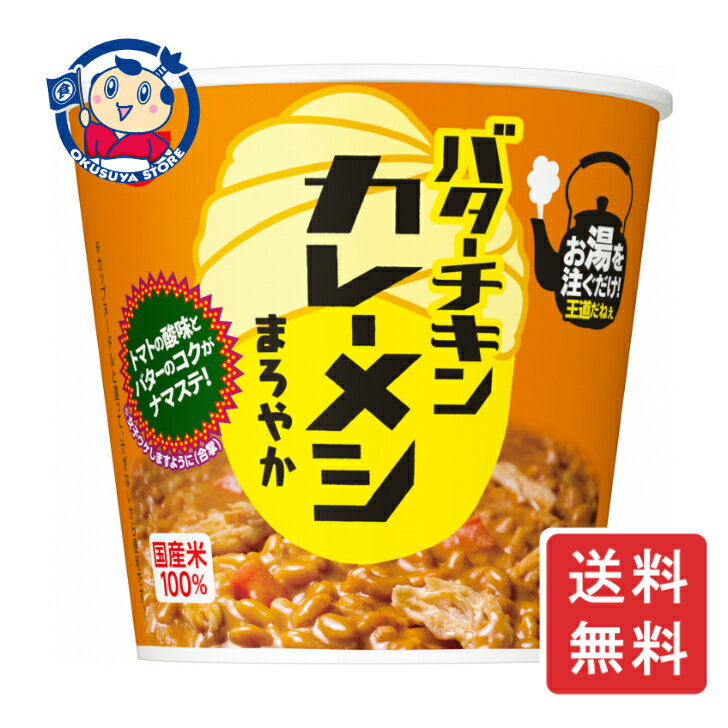 日清 バターチキン カレーメシ まろやか 100g×6個入×2ケース 発売日:2022年8月29日