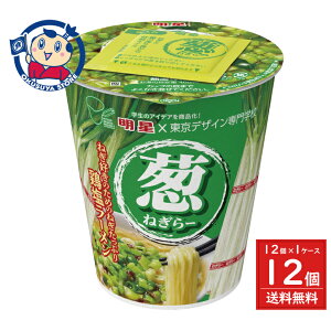 明星 東京デザイン専門学校コラボ ねぎらー 鶏塩ラーメン 91g×12個入×1ケース 発売日:2025年4月21日