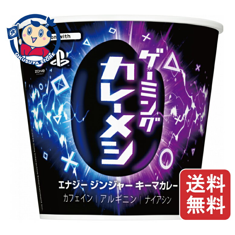 日清 ゲーミングカレーメシ エナジージンジャーキーマカレー 105g×6個入×3ケース 発売日：2025年11月24日