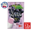 谷尾食糧工業 おうちで凍らせて食べる ぶどうアイス (70g4本入)×12個入×1ケース