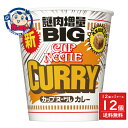 日清 カップヌードルカレー ビッグ 121g×12個入×1ケース リニューアル発売日:2025年8月下旬