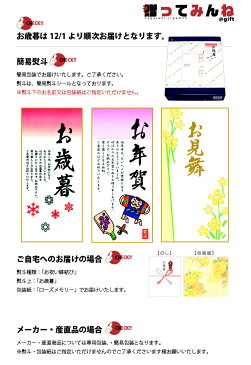 【お歳暮 送料無料】ネスカフェ プレミアムブラックスティックコーヒー N30−BK【お歳暮/御歳暮/お見舞/お年賀/お中元/暑中見舞い/残暑見舞い/ギフト/贈り物/】