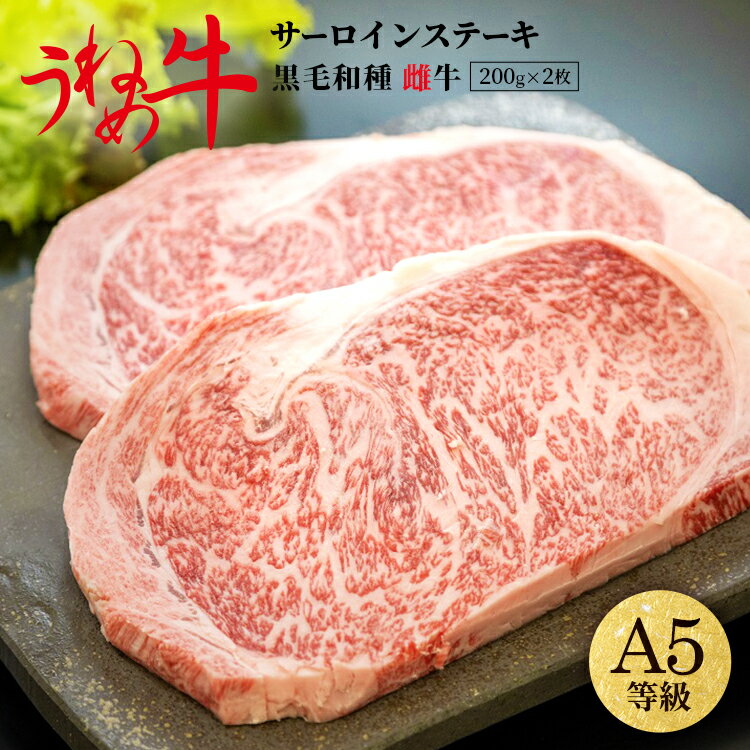 和牛 A5 等級 雌牛 うねめ牛 サーロイン ステーキ 霜降り 和牛ステーキ 肉 ギフト サーロインステーキ 黒毛和牛 ステーキ肉 東北 福島 プレゼント 贈り物 ブランド牛 記念日 合格祝 卒業祝 入…