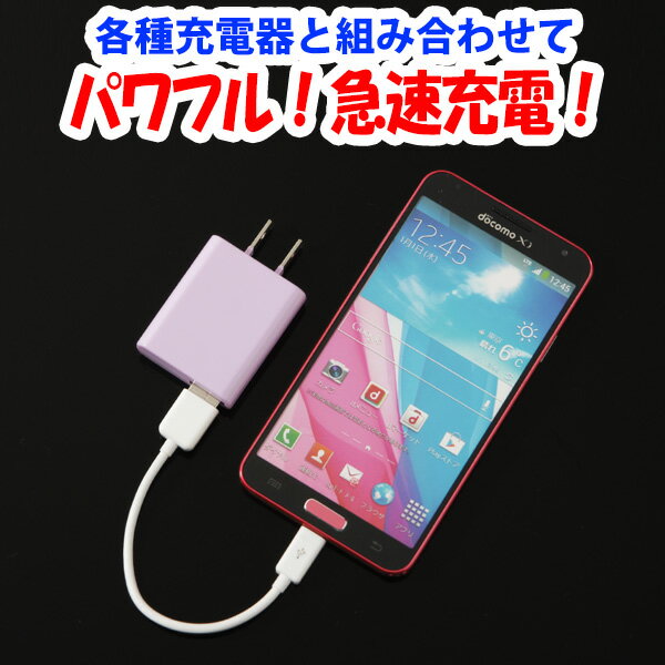 充電ケーブル スマホ Android用 急速充電対応端末用 高出力対応 10cmショートコード 【ホワイト】 IUC-01SP05W【月間優良ショップ】 ゆうパケット 送料無料 アウトレット