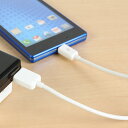 スマホ 充電ケーブル 送料無料【月間優良ショップ】 IUC-...