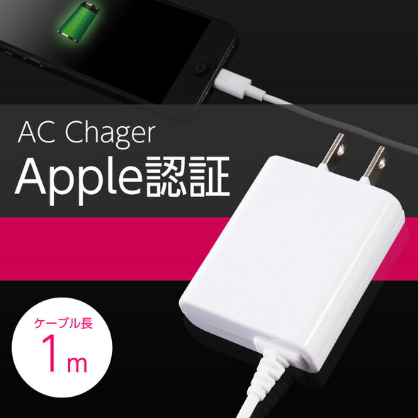 【apple MFi正規認証品】iPhone 充電器 ライト