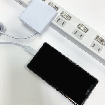 スマートフォンAC充電器 Type-C ケーブル1.5m、2.5m 月間優良ショップ 受賞 最大出力2.4A 送料無料 okwac-10c24 ブラック ホワイト ピンク簡易包装 ゆうパケット 1000円ポッキリ キャンプ アウトドア