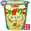 この商品は カルビー じゃがりこサラダ 57g×12個×2ケース お菓子 子ども 大人 シェア ギフト まとめ買い お中元 お歳暮 ポイント全品送料無料！(※ただし北海道 沖縄 離島は送料無料対象外) 当社イチ押しの商品です！ 独自の製法で“はじめカリッとあとからサクサク”の心地よい食感が楽しめます。にんじんとパセリのつぶつぶがおいしそうなじゃがりこの定番、サラダ味です。メーカーにて製造終了の場合はご連絡後ご注文をキャンセルさせていただきます。商品の改訂等により、商品パッケージの記載内容と異なる場合がございます。名称:スナック菓子内容量:57gJANコード:4901330578909賞味期限:別途商品に記載保存方法:高温・多湿をさけ、直射日光のあたらない場所に保存してください。原材料:じゃがいも（遺伝子組換えでない）、植物油、脱脂粉乳、粉末植物油脂、食塩、乾燥にんじん、ミルクパウダー、パセリ、こしょう/乳化剤（大豆を含む）、調味料（アミノ酸等）、香料、酸化防止剤（V.C）製造者:カルビー株式会社 ショップからのメッセージ 納期について 4