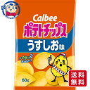カルビー ポテトチップス うすしお味 60g×12個×2ケース