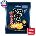 カルビー 堅あげポテト うすしお味 65g×12個×2ケース