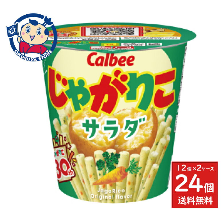 カルビー じゃがりこ サラダ 57g××12個×2ケース