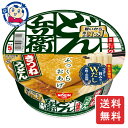 日清 どん兵衛 きつねうどん 95g×12個×2ケース カップ麺 即席麺 ラーメン インスタント カップラーメン まとめ買い ギフト 保存食 長期保存 夜食