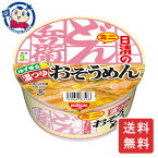 日清 どん兵衛 温つゆそうめんミニ 35g×12個×2ケース カップ麺 即席麺 ラーメン インスタント カップラーメン まとめ買い ギフト 保存食 ミニサイズ 長期保存 夜食