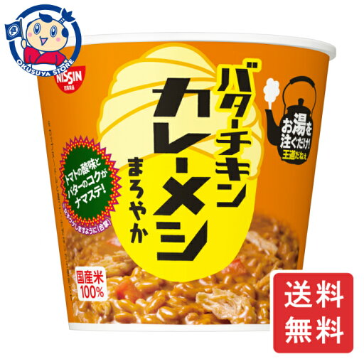 日清 バターチキンカレーメシ まろやか 100g×6個×1ケース 日清 バターチキンカレーメシ まろやか 100g×6個×1ケース