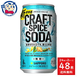 サッポロ クラフトスパイスソーダ 350mL×24本×2ケース 酒 飲料 アルコール 缶 家飲み 宅飲み お中元 お歳暮 発売日：2023年9月10日