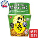 日清 完全メシ キーマカレーメシスパイシー 116g×6個入×1ケース 発売日:2023年4月3日