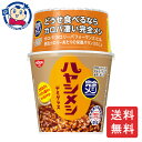 日清 完全メシ ハヤシメシデミグラス 119g×6個入×1ケース 発売日:2023年9月4日
