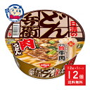 日清 日清のどん兵衛 肉うどん 86g×12個入×1ケース 発売日:2024年4月8日 ※リニューアル販売