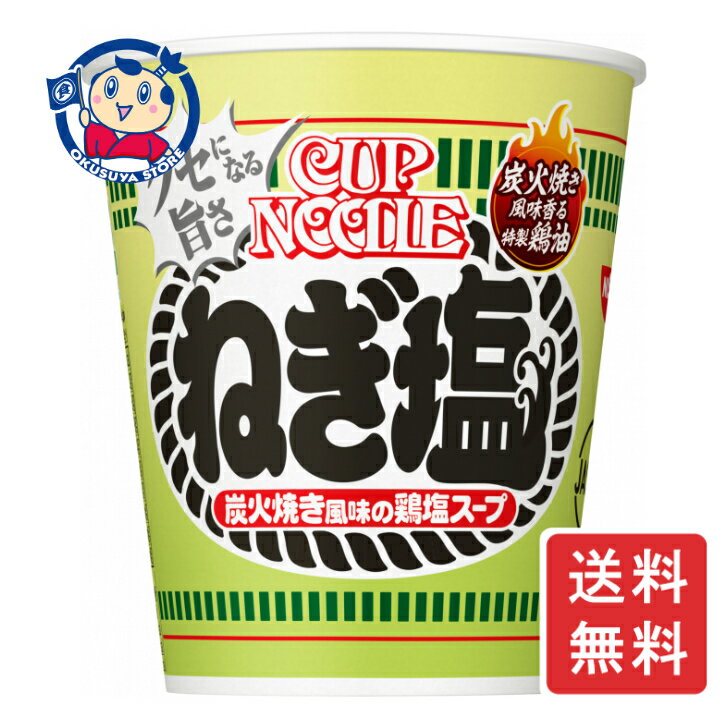日清 カップヌードル ねぎ塩 76g×20個×1ケース