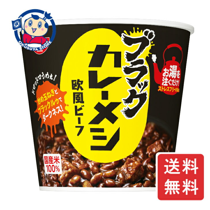 日清 ブラックカレーメシ 欧風ビーフ 104g×6個×1ケース 発売日：2024年11月11日