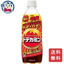 アサヒ ドデカミン PET 500mL×24本×1ケース 飲料 ソフトドリンク 炭酸 ノンアルコール お中元 お歳暮 片手サイズ