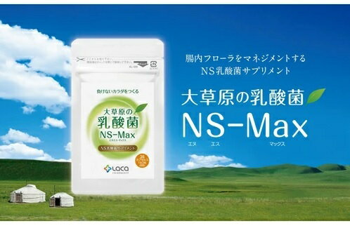 2袋セット 大草原の乳酸菌 36粒 NS-Max ＋ 小冊子プレゼント! ラクア NS乳酸菌 サプリメント モンゴル 乳酸菌 ロイテリ菌 善玉菌 3