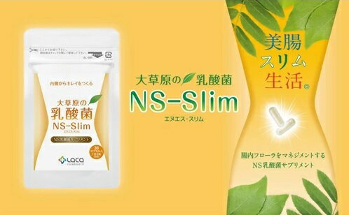 3袋セット 大草原の乳酸菌 36粒 NS-Slim　＋ 小冊子プレゼント！ ラクア NS乳酸菌 ...