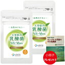 2袋セット 大草原の乳酸菌 36粒 NS-Max + 小冊子プレゼント! ラクア NS乳酸菌 サプリメント モンゴル 乳酸菌 ロイテリ菌 善玉菌