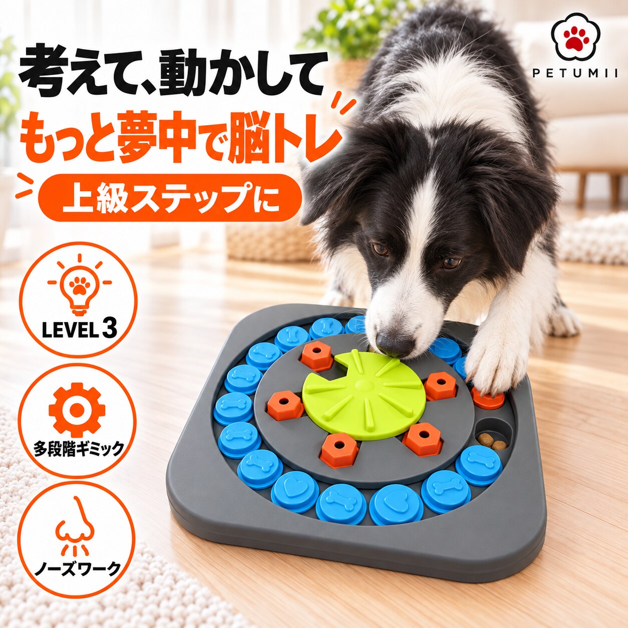 ペット用 知育玩具 パズル 5点セット/丸洗い可 楽天市場】知育 パズル（おもちゃ｜犬用品）：ペット・ペットグッズの通販