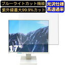 【ポイント2倍】EIZO ディスプレイ FlexScan S1701 17インチ 5:4 対応 ブルーライトカットフィルム 超透明 光沢 パソコンモニター液晶保護フィルム PCモニター デスクトップ 画面保護 指紋防止 気泡防止 抗菌 PC保護シート