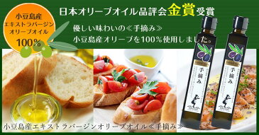 御礼 御祝 ギフト 【送料無料】オリーブオイルギフト 小豆島産 手摘み・巧み　2本セット[F-55]【小豆島 オリーブオイル 東洋オリーブ 小豆島産 オリーブギフト エキストラバージンオリーブオイル 】