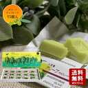 【8/4~8/5限定★5%OFFクーポン★店内全品ポイント2倍★】【バレンタイン 2025】小豆島 オリーブチョコレート 15個入【 チョコレート バレンタイン ギフト モンドセレクション 小豆島 オリーブ 春日堂 】