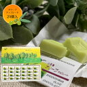 【8/4~8/5限定★5%OFFクーポン★店内全品ポイント2倍★】【バレンタイン 2025】小豆島 オリーブチョコレート 24個入【1個までメール便OK】【 チョコレート バレンタイン ギフト モンドセレクション 小豆島 オリーブ 春日堂 】