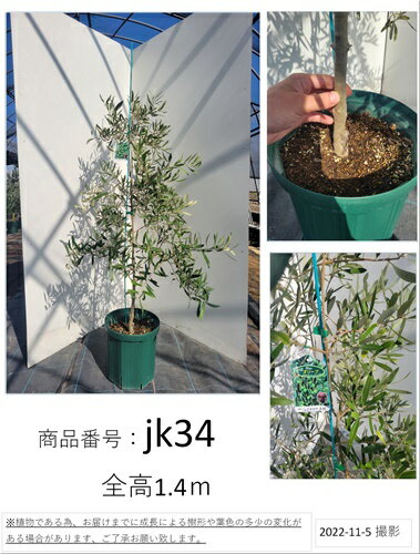 5%OFF-フェイクグリーン ハンギング 吊り下げ バスケット 観•葉植物