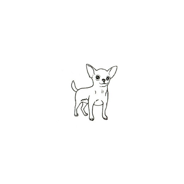Rakuten - 【対象商品3点以上でメール便送料無料】　アニマルスタンプ イヌ C チワワ【犬 いぬ 動物スタンプ 動物はんこ かわいい動物 雑貨 グッズ メッセージカード リアル デザイン イラスト おしゃれ 可愛い はんこ スケジュール帳 手帳 判子 ゴム印 伝言メモ】