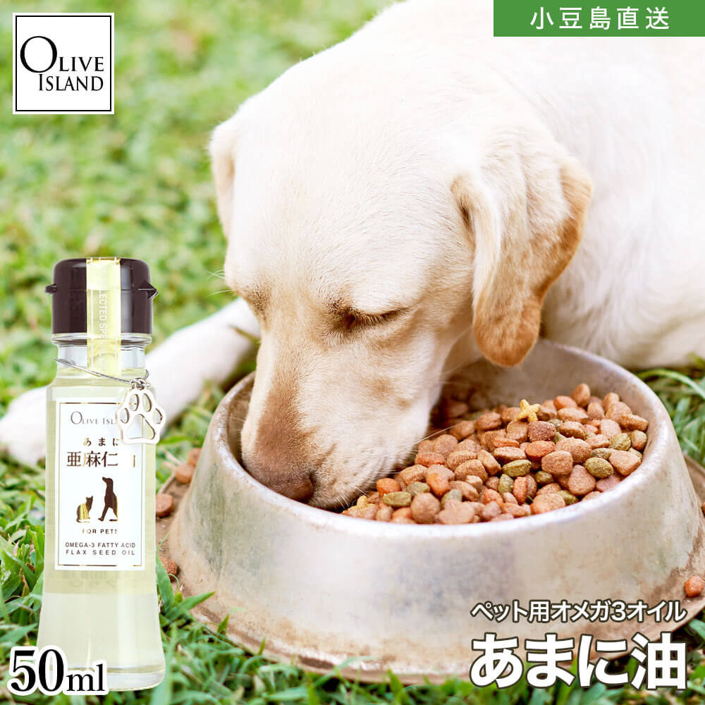 ڥå ޤ 50ml ñʡ1/2/4(դ)۰ ޥ ޥ˥  ޥ ưʪ  ǭ  ᥬ3 -Υ 㲹ˡ ɥץ쥹 DHA EPA ѡա եå ե ꡼֥ oliveisland