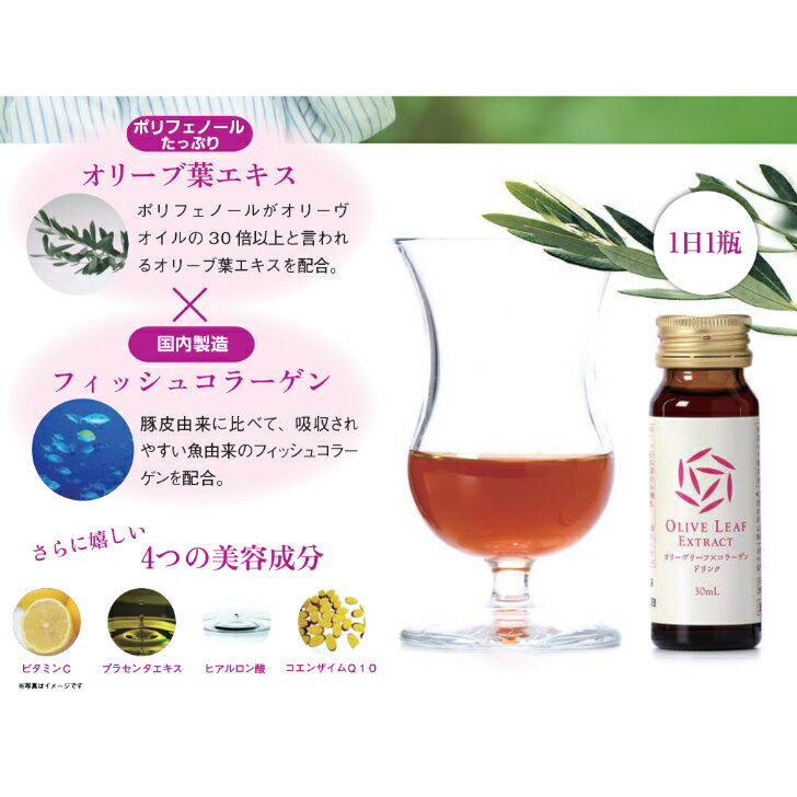 �ڸ����ۥ��꡼�֥꡼�աߥ��顼���� ���ƥɥ�� 30mL 10�� �ե��å��女�顼���� ���꡼���ե����� �ݥ�ե��Ρ��� �ӥ��ߥ�C �����󥶥���Q10 �ץ饻�� �ҥ������� �ߥå����ե롼��̣ �������Ʊ� ����0 ����̵�� ���꡼�֤ο� ��Ʀ��إ륷������