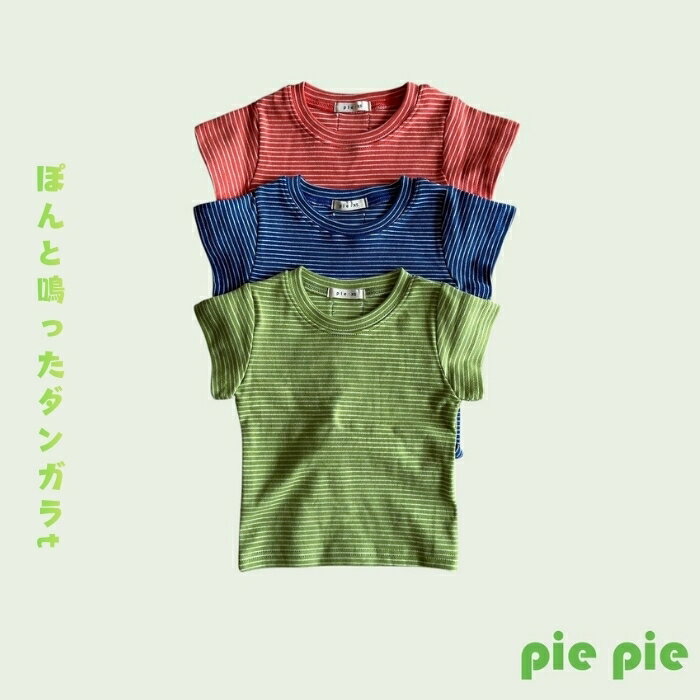 Rakuten - ぽんと鳴ったダンガラt pie