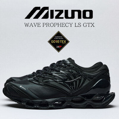 ޥ des shoes and bag㤨֡2025ǯ߿MIZUNO WAVE PROPHECY LS GTX D1GA2560 (01 BLACKߥ ֥ץեLS ƥå ɿ ֥åפβǤʤ31,900ߤˤʤޤ
