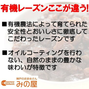 【有機JAS】オーガニック レーズン 500g 無添加 ノンオイ ル 有機レーズン ポイント消化 グルメ みのや みのや