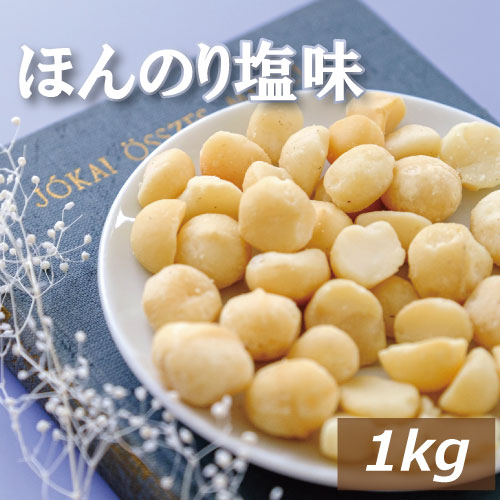 マカダミアナッツ ロースト 塩味 1kg 送料無料 まかだみ