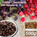 フルーツチョコレート 500g 国内製造 ドライフルーツ チョコ ミックス ふるーつちょこ チョココーティング レーズン グリンレーズン クランベリー おやつ おつまみ スイーツ バレンタインデー ホワイトデー ギフト チャック袋入り お徳用 大容量 業務用 グルメ みのや