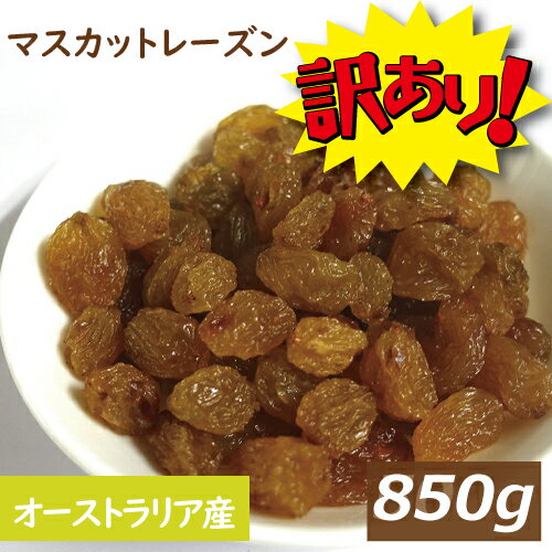 【訳あり】レーズン 大粒 チリ産 850g オイルコート　少し糖化しているものもあるので訳ありです　1kgより少なめ 業務用のサムネイル