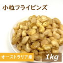 小粒フライビンズ オーストラリア産 1kg 送料無料 いかり豆の皮をむいたもの 皮なし 小粒 そら豆 フライ空豆 いかり豆 イカリ豆 そらまめ 花豆 蚕豆 赤穂の焼き塩 塩味 塩付き おつまみ おやつ 家呑み 宅呑み やみつき お徳用 大容量 業務用 チャック袋入り グルメ みのや