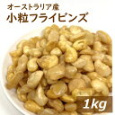 小粒フライビンズ オーストラリア産 1kg 送料無料 いかり豆の皮をむいたもの 皮なし 小粒 そら豆 フライ空豆 いかり豆 イカリ豆 そらまめ 花豆 蚕豆 赤穂...